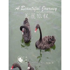 AF-20 美麗的旅程 (連CD)